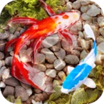 Logo of Fish Tank Animated Keyboard + Live Wallpaper android Application 